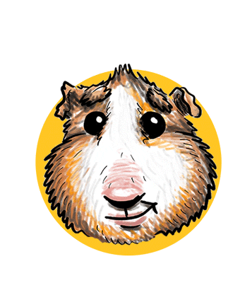 Guinea Pig